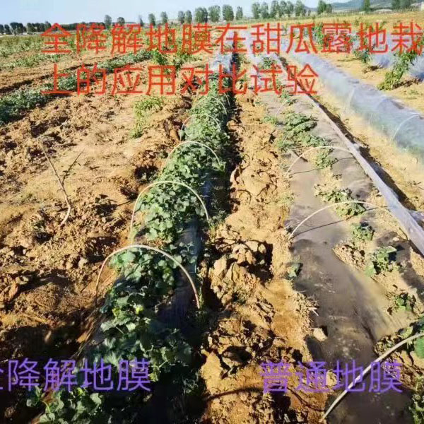 全降解包装膜,全降解地膜,全降解塑料袋